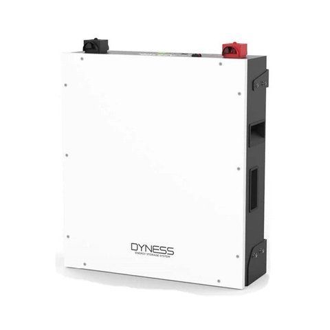 Акумуляторна батарея Dyness DL5.0C LiFePO4 51.2V 100Ah 5.12kWh 03993 фото
