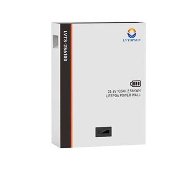 Комплект резервного питания 2.51 кВт (must pv18-3224 vpmII +LVTS 256100 (24 В, 100А) 1100 фото